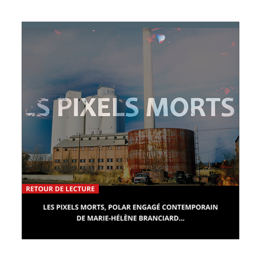 Les Pixels morts, polar engagé contemporain de Marie-Hélène Branciard - Sylvie Callet