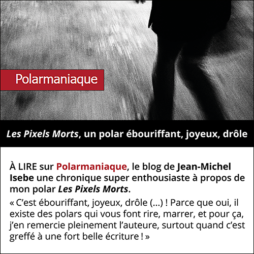 Les Pixels Morts de Marie-Hélène Branciard, un polar ébouriffant, joyeux, drôle...