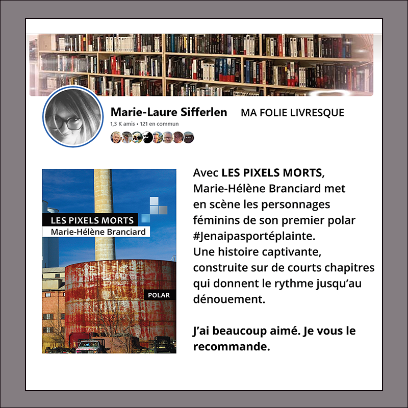 Les Pixels Morts de Marie-Hélène Branciard - Une histoire captivante et rythmée!